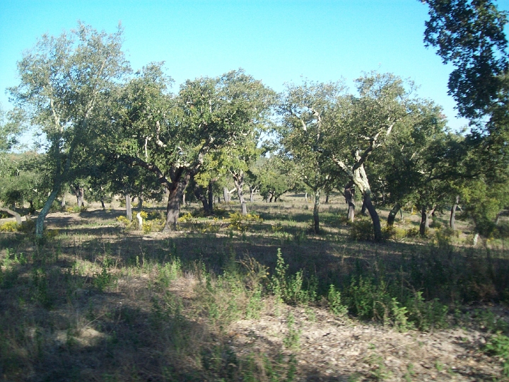 2009_portugal 196